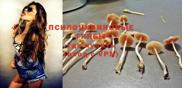 соль ск Алзамай