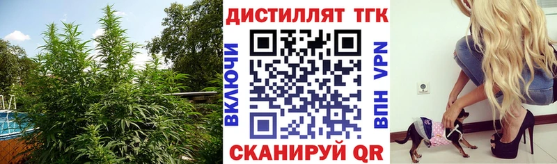 ТГК Wax  Бежецк 