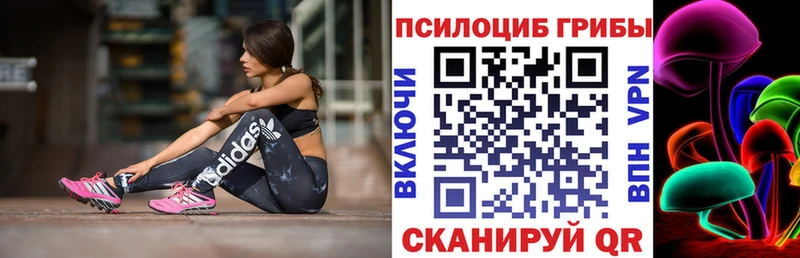 Галлюциногенные грибы прущие грибы  Бежецк 
